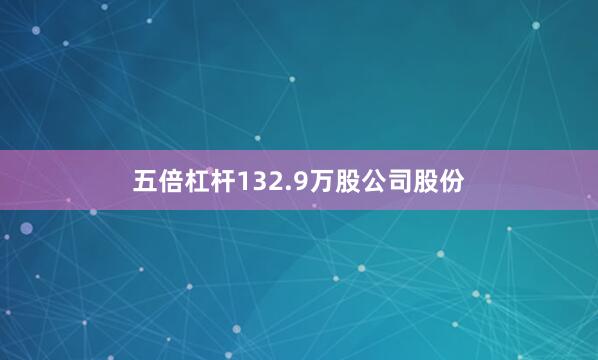 五倍杠杆132.9万股公司股份