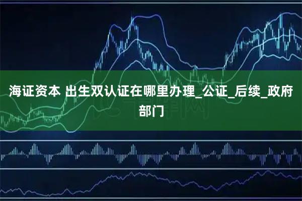 海证资本 出生双认证在哪里办理_公证_后续_政府部门
